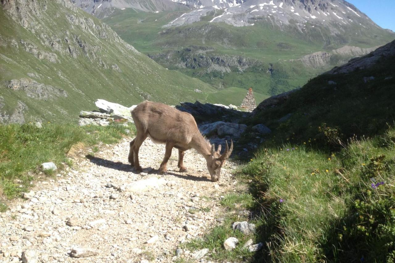 Vacation Rental - Pralognan La Vanoise Savoie Eksteriør billede